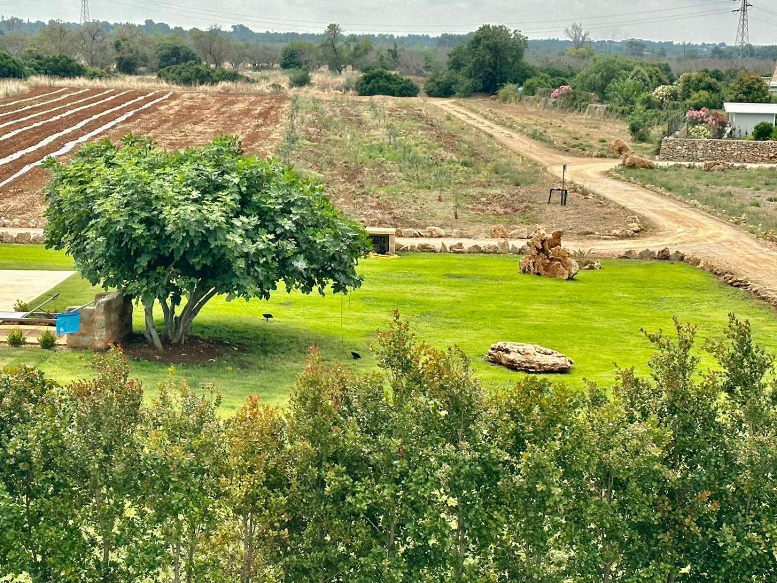 Borgo Rosso Terra 3*